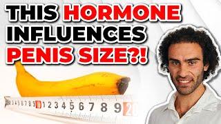 Penis Growth Hacks: What Increases Penis Size?