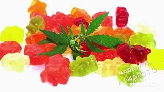 Xoth CBD Gummies: Does It Safe? #Reviews! Joint Pain Relief