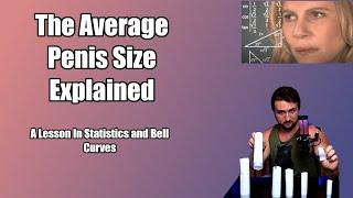 Average Penis Size Explained