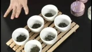 Green Tea Weight Loss Pills: Will They Help You Burn Fat?