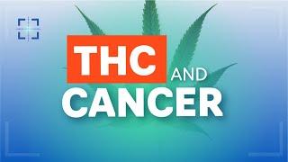 Can THC and other cannabinoids such as CBD help with cancer?