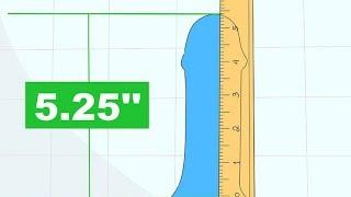 What Is the Average Size of a Flaccid Penis