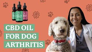 CBD Oil for Dog Arthritis