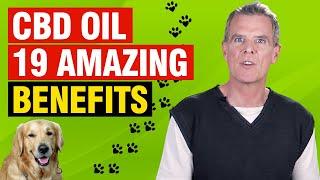 Benefits of Full Spectrum CBD Oil For Dogs (19 CONFIRMED Medical Benefits)