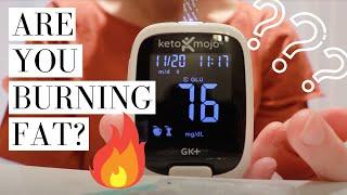 How to Test Glucose and Ketones With the Keto Mojo Device