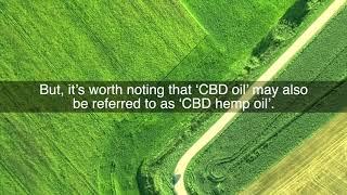 CBD Oil vs Hemp Oil: What's The Difference?