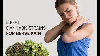 Best Cannabis Strains for Nerve Pain