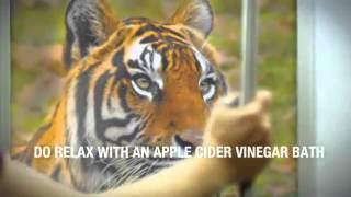 cider vinegar benefits | apple cider vinegar benefits | best|natural diuretics|weight loss