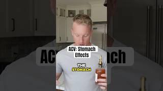 What Does Apple Cider Vinegar Do To The Stomach?