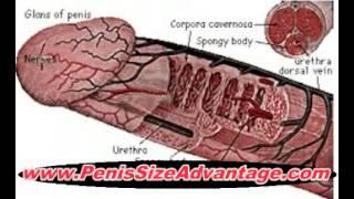 Increase Penis Size   Natural Way To Increase Penis Length) (Girth)(Size)(Width) Best progrma