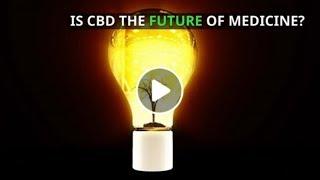 What Is CBD Oil - CBD Oil Benefits