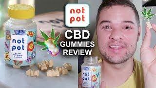 Trying Instagram Products! Not Pot CBD Gummies Review (for Anxiety & Pain)