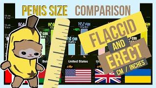 Penis Size by Country