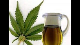 CBD Hemp (Cannabis) Oil Benefits and Uses